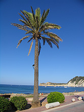 Costa Blanca