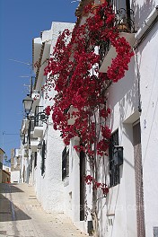 altea