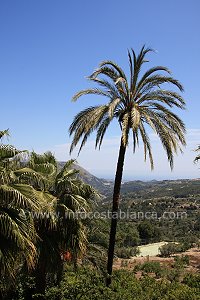 Guadalest