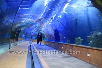 el Oceanogràfic