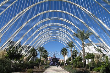 el Umbracle