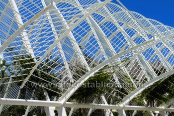 el Umbracle