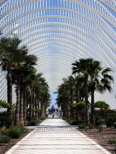 L'Umbracle