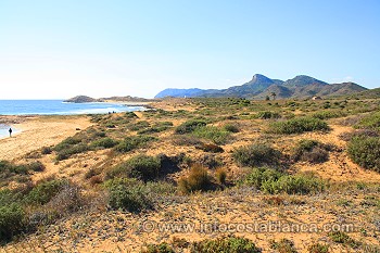 Calblanque