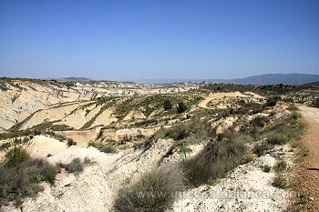 Barrancos de Gebas