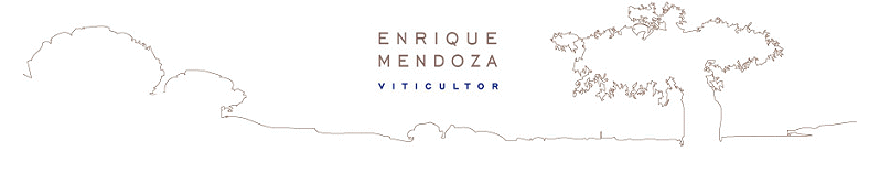 Bodega Enrique Mendoza