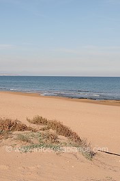 torrevieja